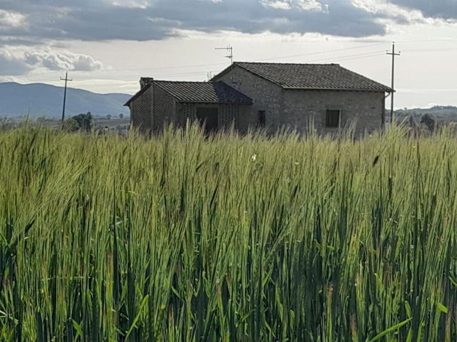 Casa Nel Grano: Casa Luciola Holiday home Pietra Rossa