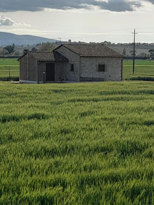 Casa Nel Grano: Casa Luciola * Pietra Rossa